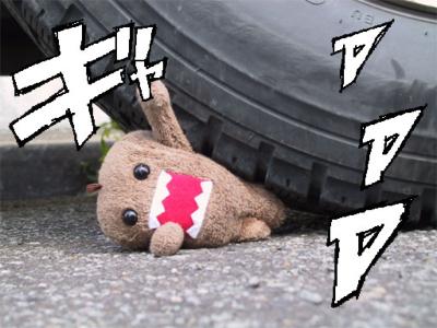 ǁ[N̋